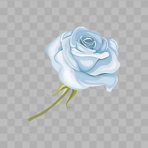 White Rose watercolour free png